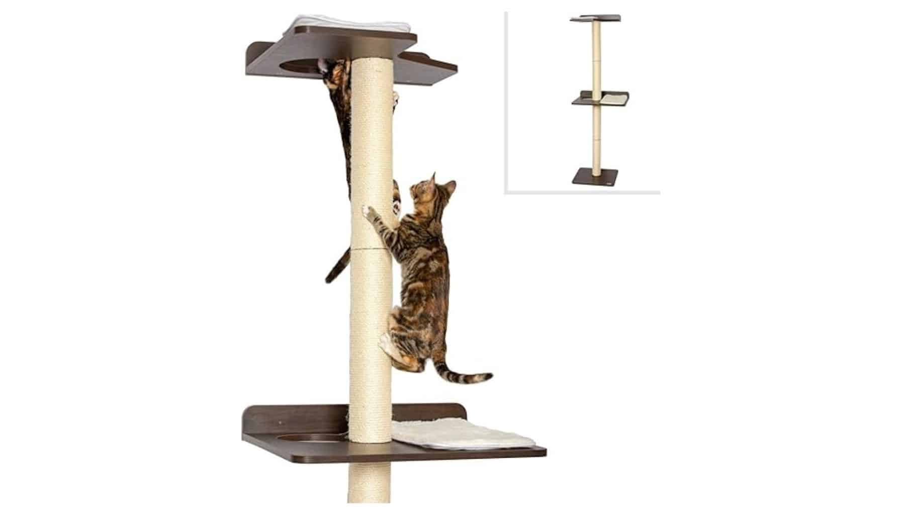 How to ensure my cat’s safety while using a PetFusion Cat Tree and Tower